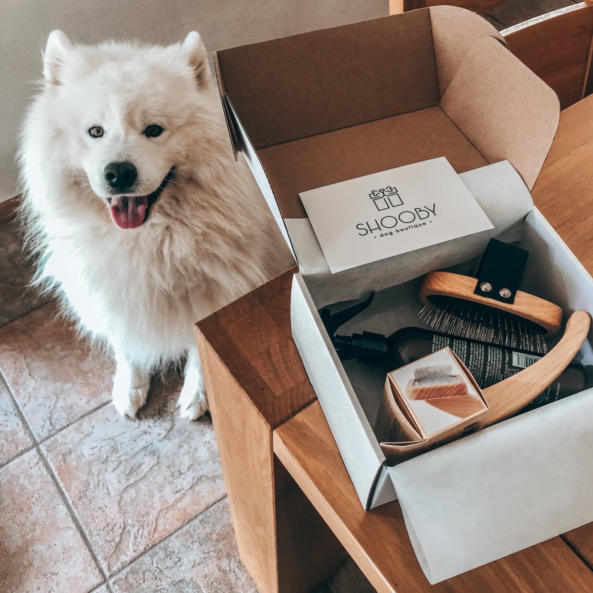 Dog brushes and detanling spray for matted fur